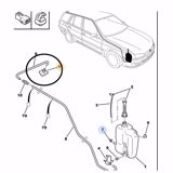 SAPITO LANZA AGUA TRASERO